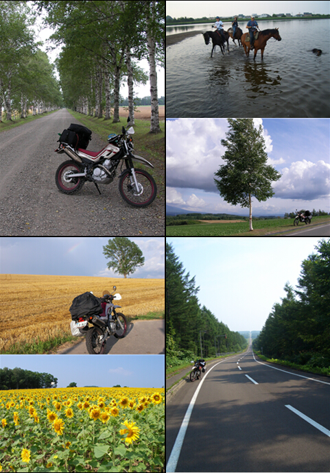 Hokkaido 2006 Photo