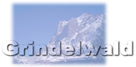 Grindelwald Report